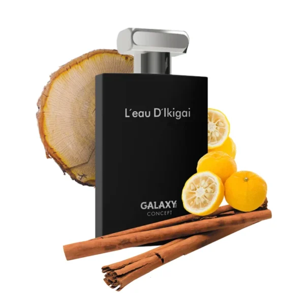 Ikigai Galaxy Plus Eau de Parfum - Perfume Masculino 100ml - Image 3